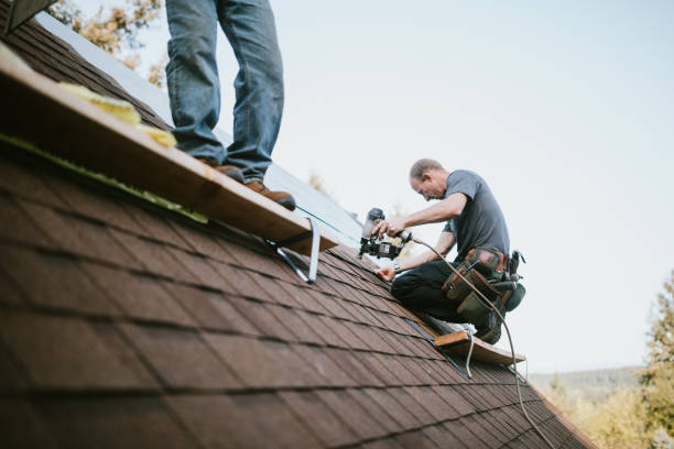 Best Roof Gutter Cleaning  in Wauregan, CT